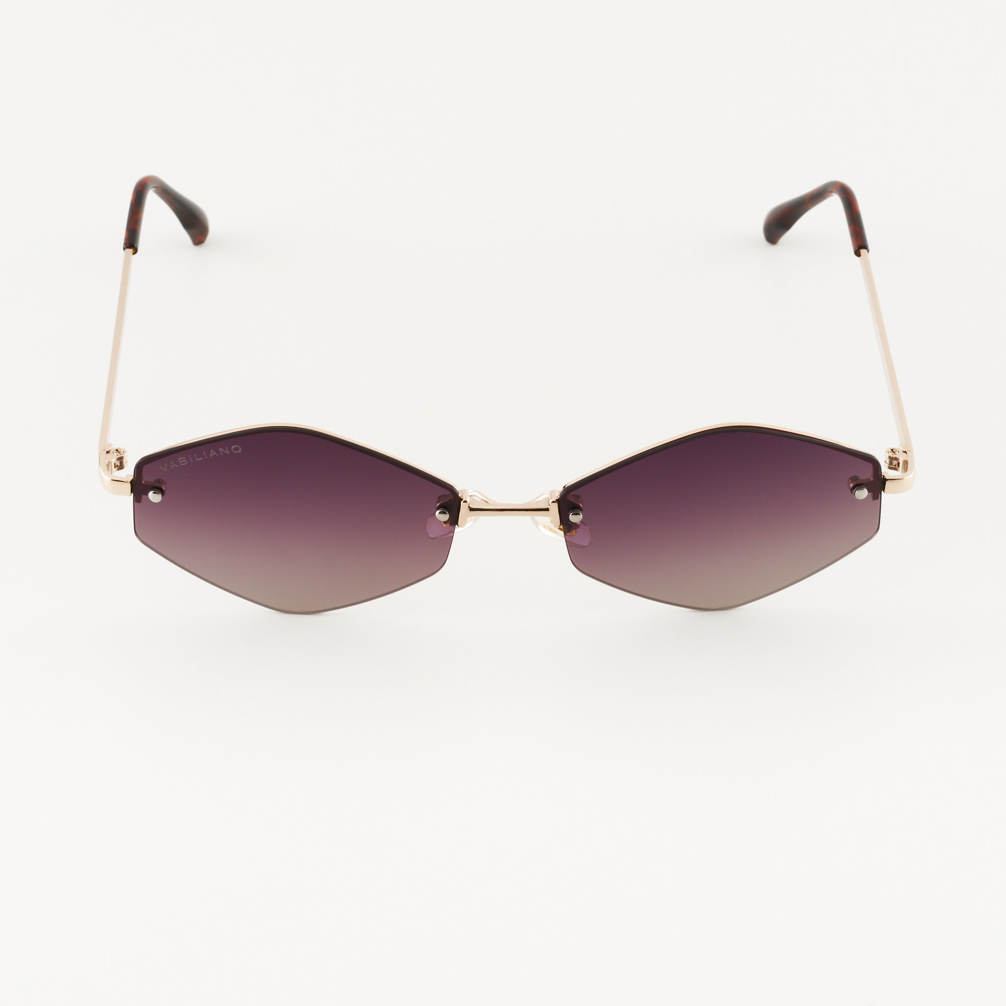 Siena L Polarized Слънчеви очила